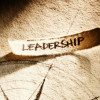 Leadership Adapt Now book 13446415S