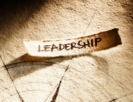 Leadership Adapt Now book 13446415S